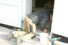 Img 9756